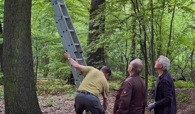Neue Wochenstuben für Fledermäuse im NSG „Waschteich Reuth“. – Foto: Sarah Vögele