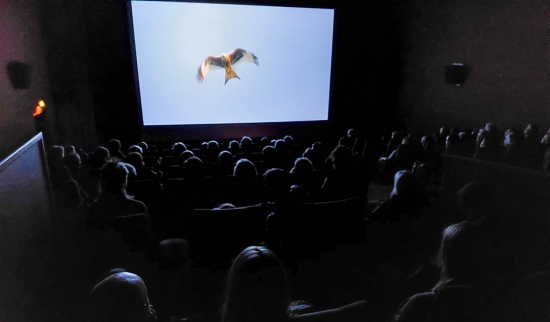 Filmvorführung „VOGELPERSPEKTIVEN“ Foto: Berthold Löckelt