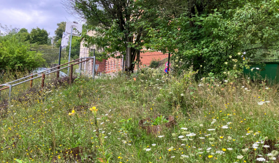 Naturnahe Wiese im Gelände der Grundschule „Johann Wolfgang Goethe“. Foto: Gundula Appel