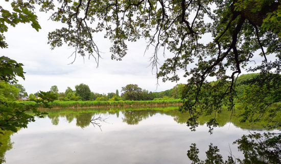 Der Waschteich im NSG „Waschteich-Reuth“, ist Namensgeber für die NABU-Gruppe. Bereits 1967 erfolgte die Festsetzung als NSG und 2006 die Erweiterung um den südlich gelegenen Schafteich. Foto: Berthold Löckelt